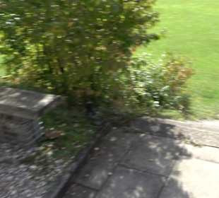 Sportplatz Dottingen