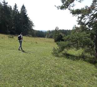 Sternberg
