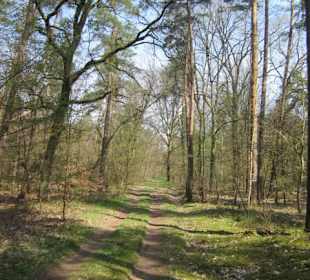 Bei der Lingenfelder Grotte