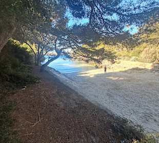 Cala Serena in Cala Ferrera