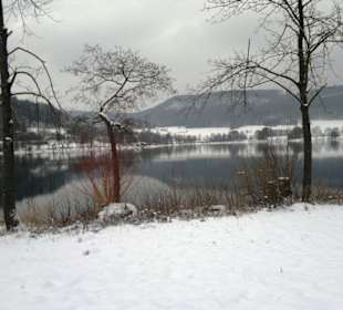 Winterpracht See