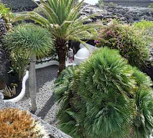 Fundacion Cesar Manrique