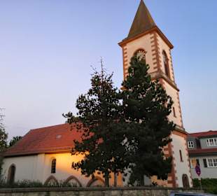 Wandern Flörsheim-Dalsheim