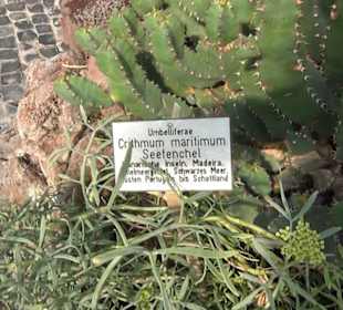 Berggarten