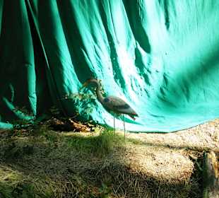 Neues im Kletterwald 09-2012