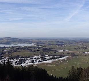 Ausblick