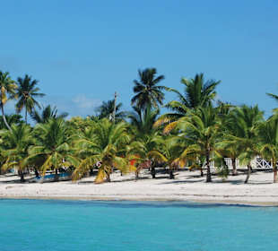 Isla Saona