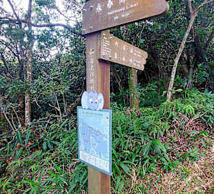 Elephant Mountain Xiangshan Hiking Trail 