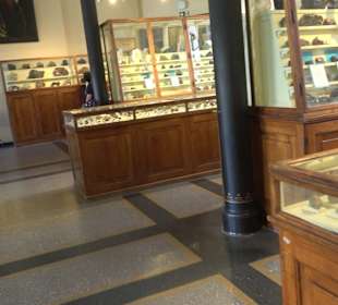 Museum für Naturkunde