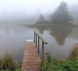 Forellenteich beim Taufstein