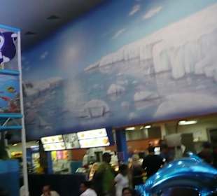 Dolphinarium