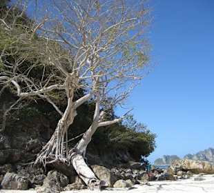 Landschaftsmotiv, klasse!