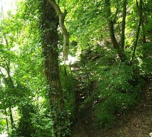 Mal im Schatten laufen