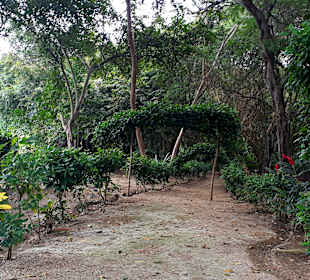 Laguna de agua sulfurosa