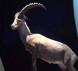 Nationalparkzentrum Haus der Berge