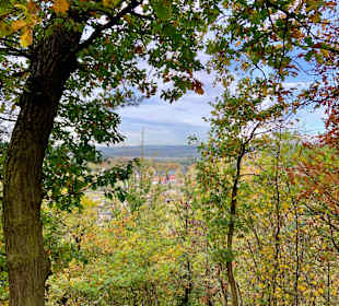 Wildgehege Rabensleite