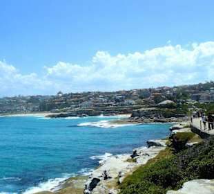 Bondi to Coogee Walk