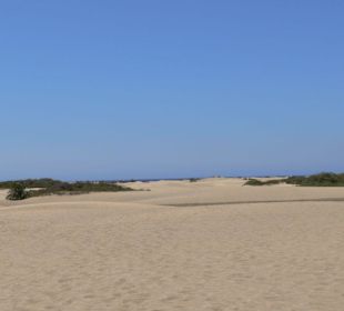 Масполамас