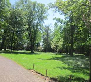 Altstadt Landau Goethepark