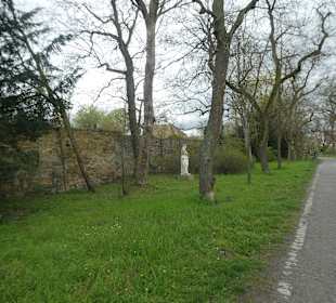 Spaziergang entlang der Gerolzhöfer Allee