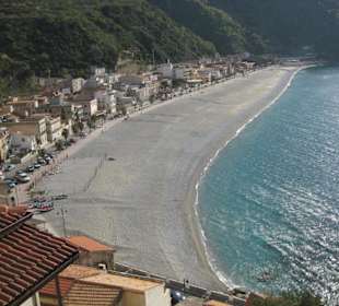 Scilla