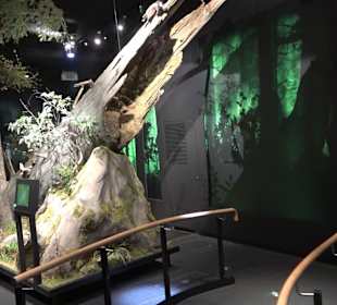 Naturparkzentrum Ruhestein