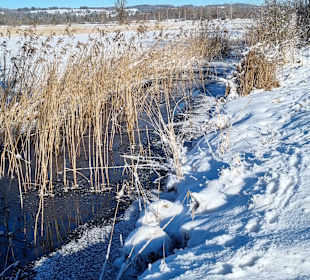 Wandern Murnau am Staffelsee
