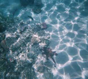 Das war pures Glück!