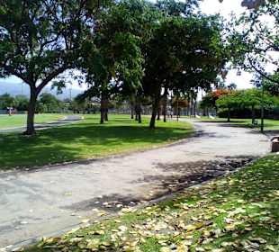 Parque del Sur in Maspalomas