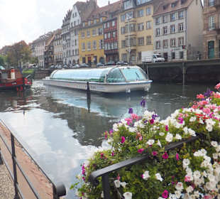 Schifffahrt auf der Ill