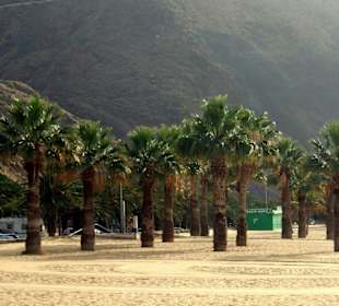 Santa Cruz de Tenerife