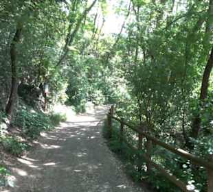 Früchtetrauf - Wurmlinger Kapellenwegle