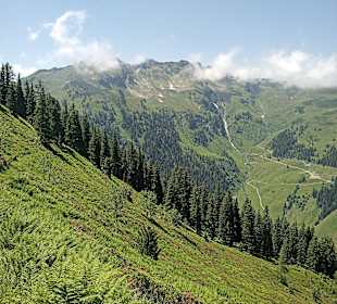 Wandern Reith im Alpbachtal
