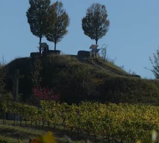 Panorama-Hügel in den Weinbergen von Nordheim