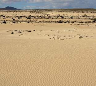 Impressionen aus der Dünenlandschaft