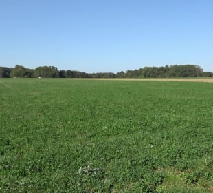 Kelten-Erlebnis-Pfad Erkenbrechtsweiler