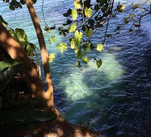 Ausblick in Punta Uva