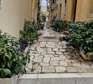 Inselrundfahrt Korfu