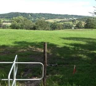 Premiumspazierweg Früchtetrauf-Leisawegle