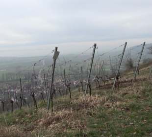 Unterjesinger Wengertwegle