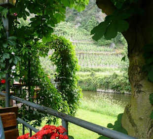 Auf der Terrasse der Saffenburg