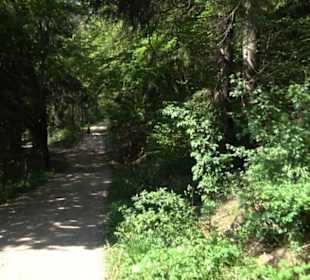 Premiumwanderweg Hochgehschätzt