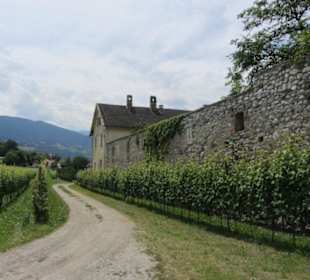 Neustift mit seinen Weingärten