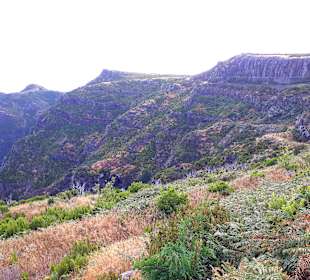 Pico do Arieiro