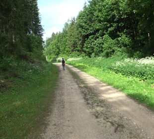 Premiumwanderweg "hochgehackert"