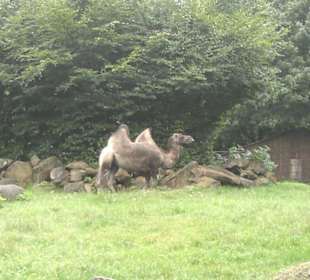 Zoo Olomouc