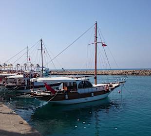 Hafen Side, Rundfahrtenboot