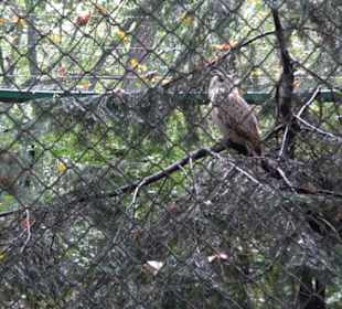 Tierpark 