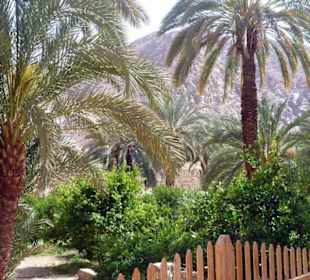 Kloster der sieben Nonnen