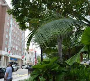 Shoppingmeile Orchard Road